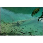 Plitvice Lakes