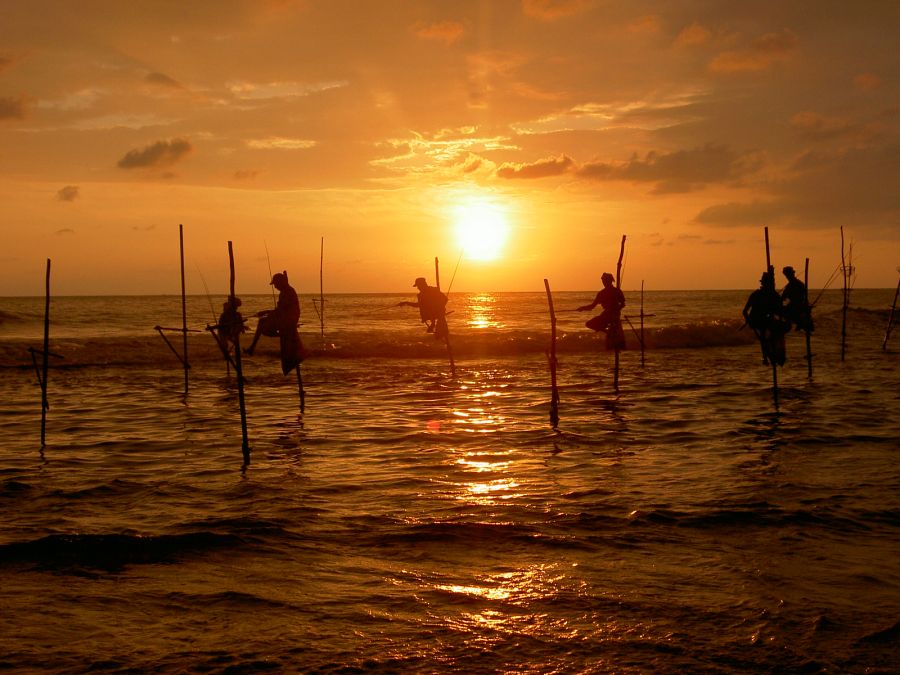 Stilt Fishermen