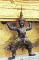 thm005_T0009.jpg