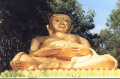 thm054_T0071.jpg