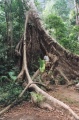 thm066_T0090.jpg